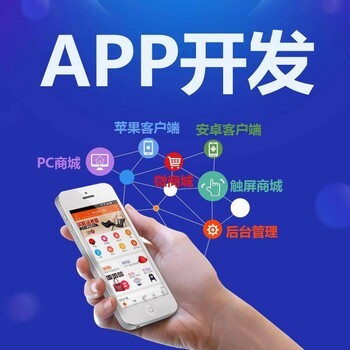 網絡軟件開發APP開發軟件定制開發
