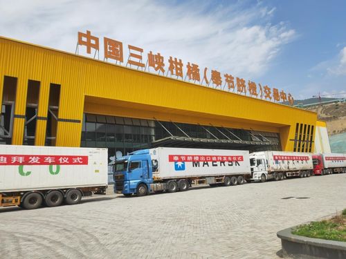 金橙飄香拓眼界 重慶奉節品牌添翼，促產業煥發新機